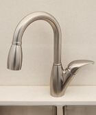 Solid Stainless Steel Faucet (200053B)