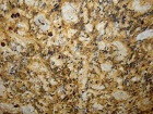 #New Venetion Gold Dark