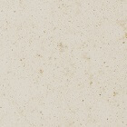 02 Organic White